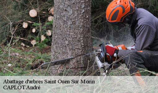 Abattage d'arbres saint-ouen-sur-morin-77750 CAPLOT André