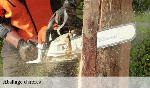 Abattage d'arbres  77176
