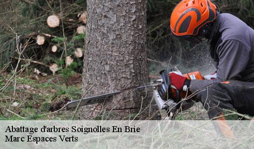 Abattage d'arbres  soignolles-en-brie-77111 Marc Espaces Verts 