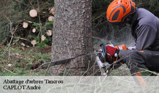 Abattage d'arbres  tancrou-77440 CAPLOT André