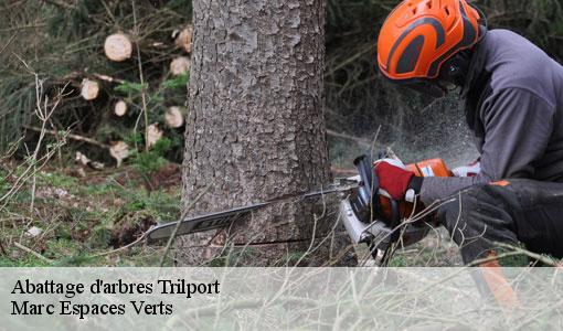 Abattage d'arbres  trilport-77470 Marc Espaces Verts 