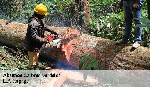 Abattage d'arbres verdelot-77510 L.A élagage