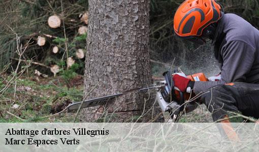 Abattage d'arbres  villegruis-77560 Marc Espaces Verts 