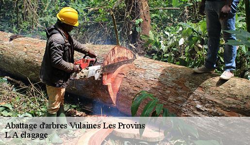 Abattage d'arbres vulaines-les-provins-77160 L.A élagage