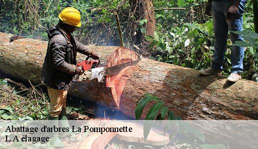 Abattage d'arbres la-pomponnette-77400 L.A élagage