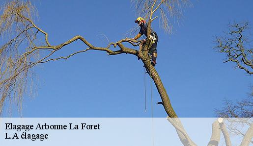 Elagage arbonne-la-foret-77630 M.CAPLOT