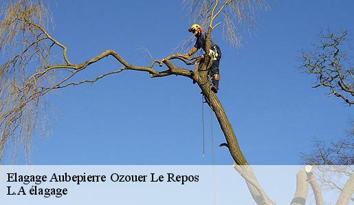Elagage aubepierre-ozouer-le-repos-77720 Sauser elagage