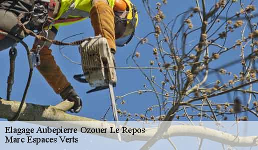 Elagage  aubepierre-ozouer-le-repos-77720 Marc Espaces Verts 