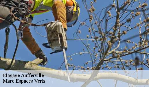 Elagage  aufferville-77570 Marc Espaces Verts 