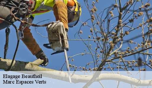 Elagage  beautheil-77120 Marc Espaces Verts 
