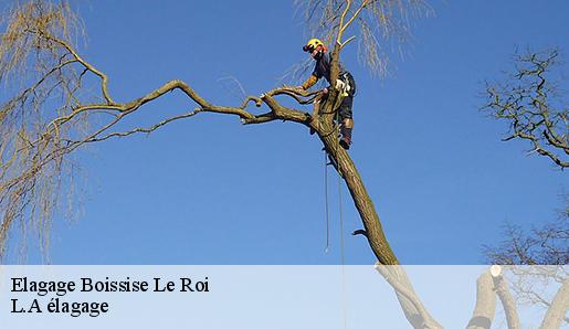 Elagage boissise-le-roi-77310 M.CAPLOT