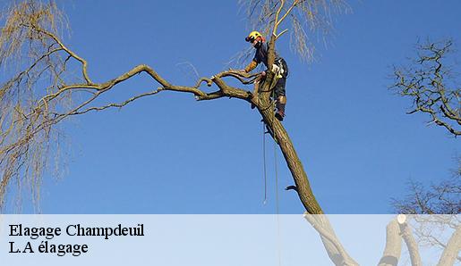 Elagage champdeuil-77390 Sauser elagage