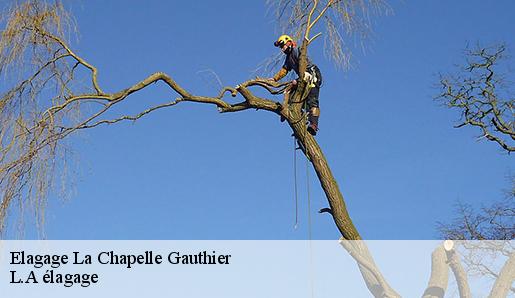 Elagage la-chapelle-gauthier-77720 L.A élagage