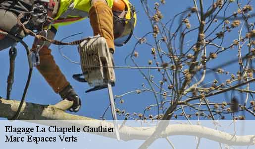 Elagage  la-chapelle-gauthier-77720 Marc Espaces Verts 