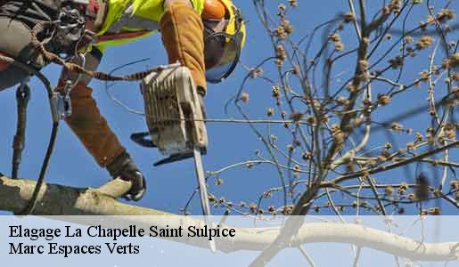 Elagage  la-chapelle-saint-sulpice-77160 Marc Espaces Verts 