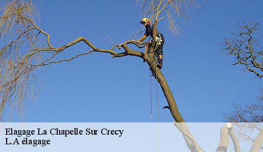 Elagage la-chapelle-sur-crecy-77580 L.A élagage