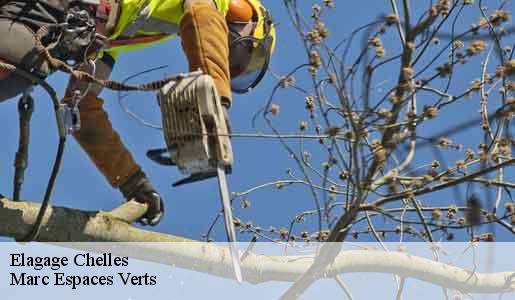 Elagage  chelles-77500 Marc Espaces Verts 