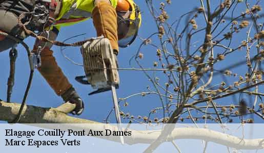 Elagage  couilly-pont-aux-dames-77860 Marc Espaces Verts 