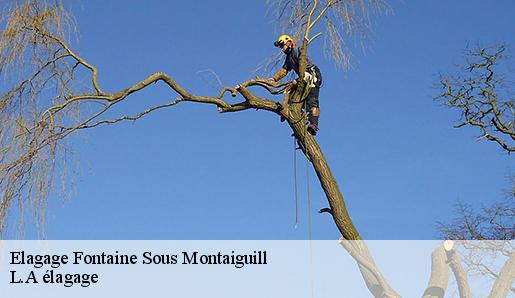 Elagage fontaine-sous-montaiguill-77560