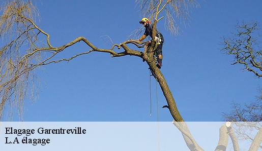 Elagage garentreville-77890 Ferret Elagage