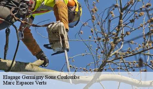 Elagage  germigny-sous-coulombs-77840 Marc Espaces Verts 