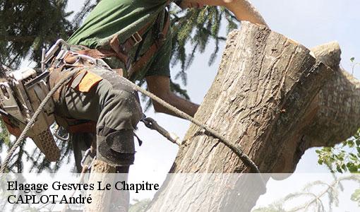 Elagage  gesvres-le-chapitre-77165 CAPLOT André