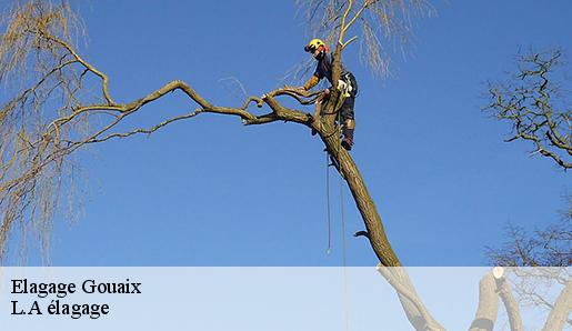 Elagage gouaix-77114 Sauser elagage