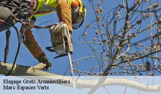 Elagage  gretz-armainvilliers-77220 Marc Espaces Verts 