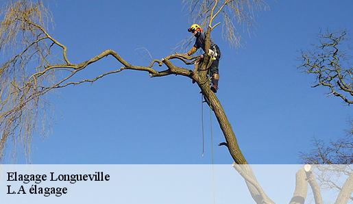 Elagage longueville-77650 Sauser elagage