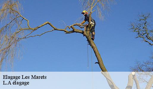 Elagage les-marets-77560
