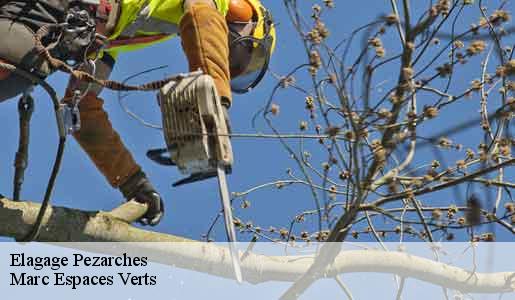 Elagage  pezarches-77131 Marc Espaces Verts 