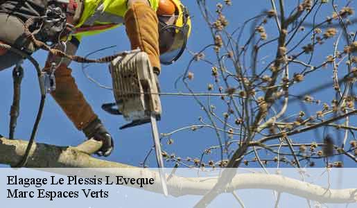Elagage  le-plessis-l-eveque-77165 Marc Espaces Verts 