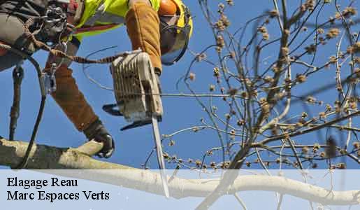 Elagage  reau-77550 Marc Espaces Verts 