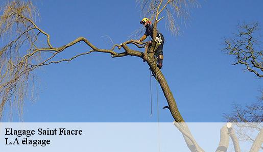 Elagage saint-fiacre-77470 Sauser elagage