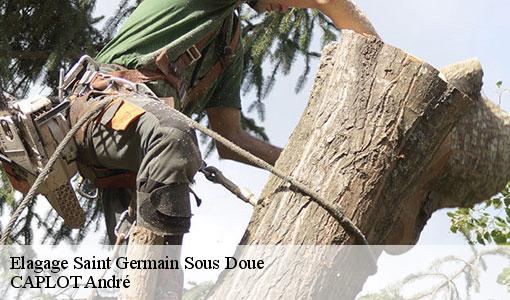 Elagage  saint-germain-sous-doue-77169 CAPLOT André