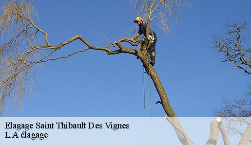 Elagage saint-thibault-des-vignes-77400 L.A élagage