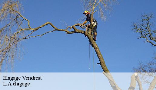 Elagage vendrest-77440 Sauser elagage