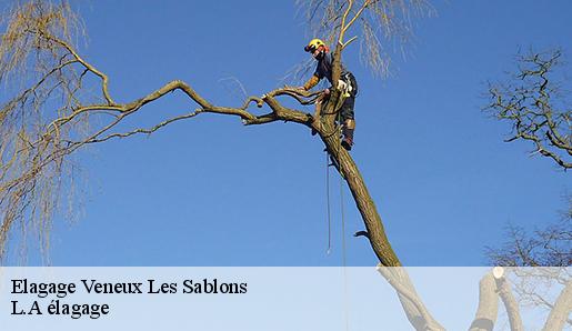 Elagage veneux-les-sablons-77250 Sauser elagage