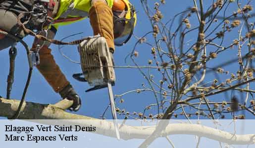 Elagage  vert-saint-denis-77240 Marc Espaces Verts 