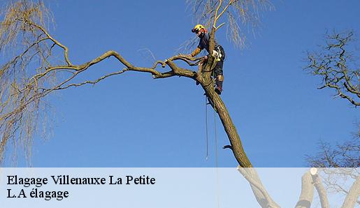 Elagage villenauxe-la-petite-77480 L.A élagage