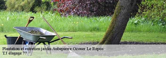Plantation et entretien jardin  aubepierre-ozouer-le-repos-77720 T.J élagage 77