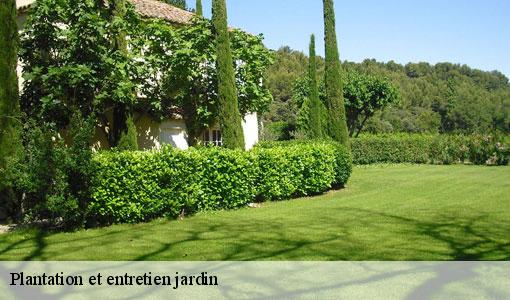 Plantation et entretien jardin  77630