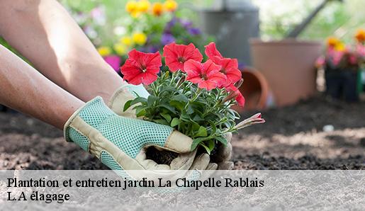 Plantation et entretien jardin la-chapelle-rablais-77370 L.A élagage
