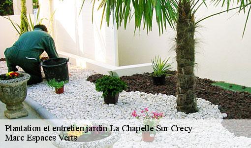 Plantation et entretien jardin  la-chapelle-sur-crecy-77580 Marc Espaces Verts 