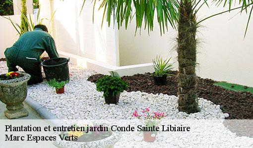 Plantation et entretien jardin  conde-sainte-libiaire-77450 Marc Espaces Verts 
