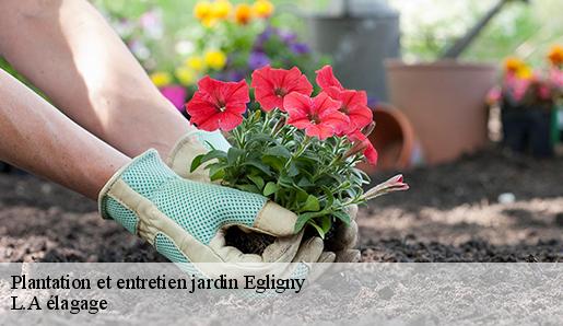 Plantation et entretien jardin egligny-77126 L.A élagage