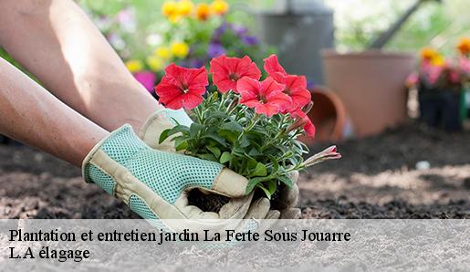 Plantation et entretien jardin la-ferte-sous-jouarre-77260 L.A élagage