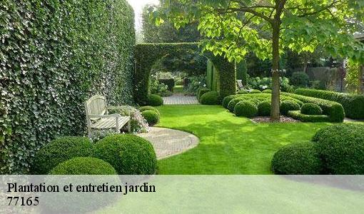 Plantation et entretien jardin 77165