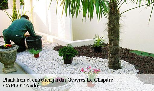 Plantation et entretien jardin  gesvres-le-chapitre-77165 CAPLOT André