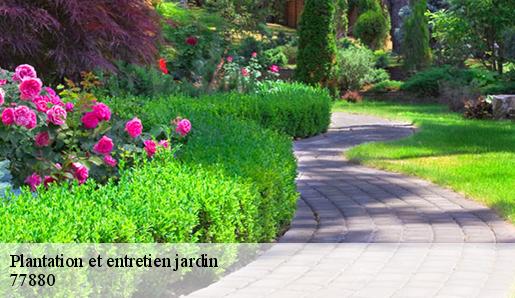 Plantation et entretien jardin  77880